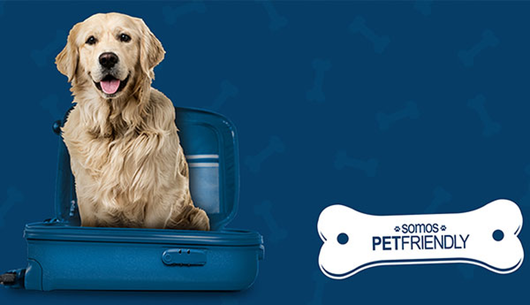 Want to travel with your pet? Hotel ILUNION Barcelona